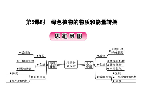 第5课时 绿色植物的物质和能量转换