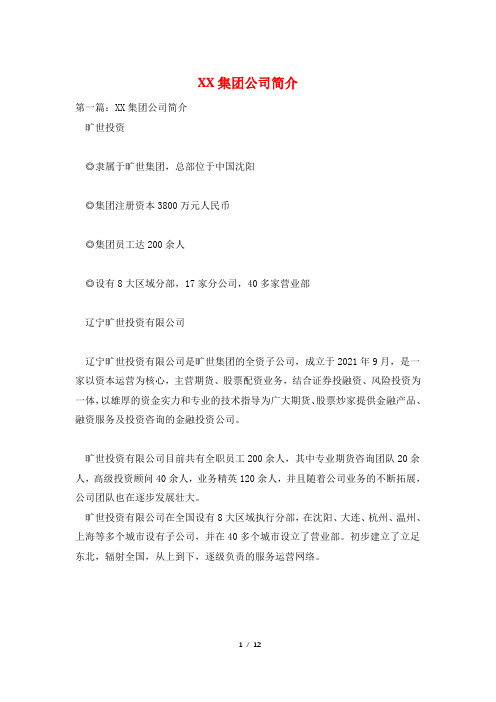 XX集团公司简介