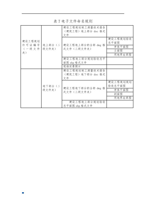 新版表7电子文件命名规则课件.doc