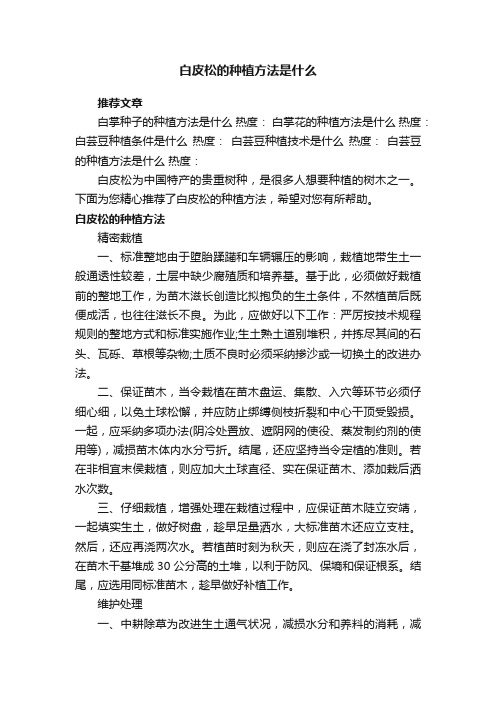 白皮松的种植方法是什么