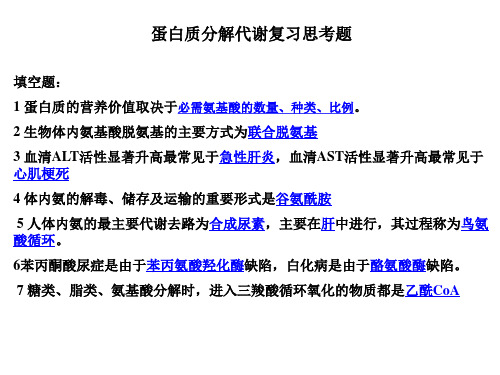 蛋白质分解代谢复习题答案