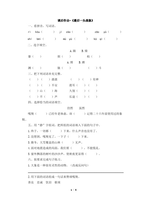 六年级上册语文试题-23《最后一头战象》(有答案) 人教新课标