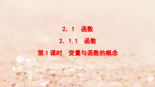 高中数学第二章函数2.1.1第1课时变量与函数的概念课件新人教B版必修108012165