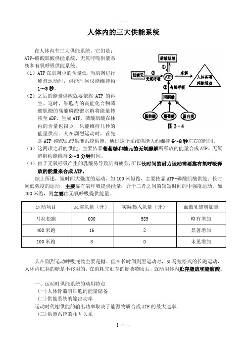 人体三大供能系统