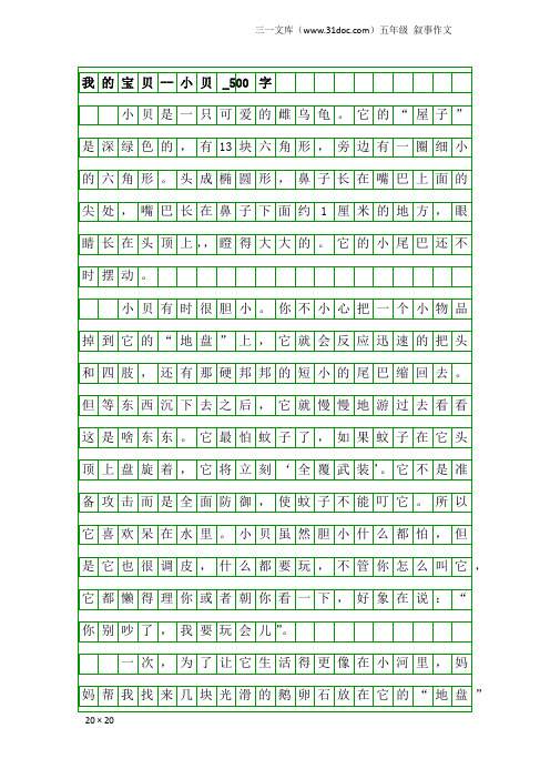 五年级叙事作文:我的宝贝--小贝_500字