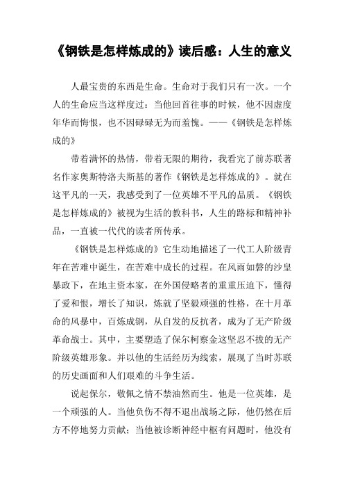 《钢铁是怎样炼成的》读后感：人生的意义