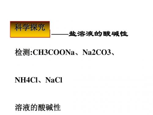 化学课件《盐类的水解》优秀ppt49 人教课标版