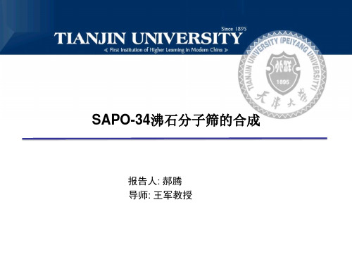 SAPO-34沸石分子筛的合成