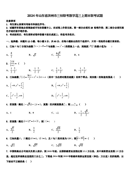 2024年山东省滨州市三校联考数学高三上期末联考试题含解析