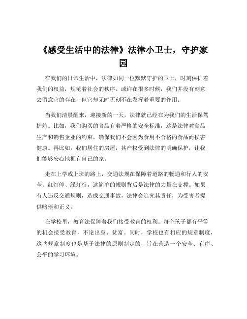 《感受生活中的法律》法律小卫士,守护家园