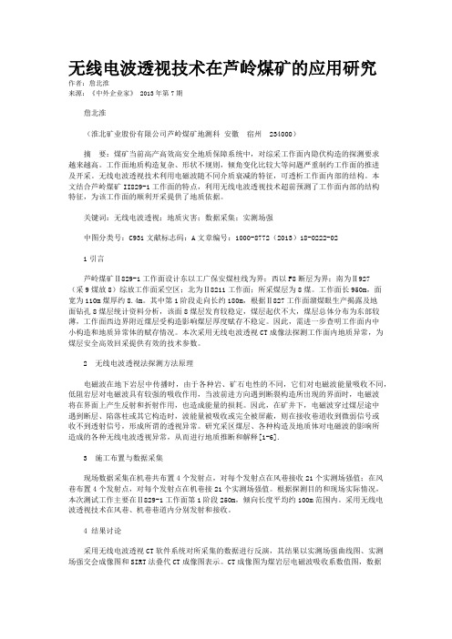 无线电波透视技术在芦岭煤矿的应用研究    