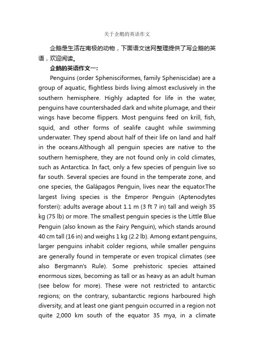 关于企鹅的英语作文_英语作文范文