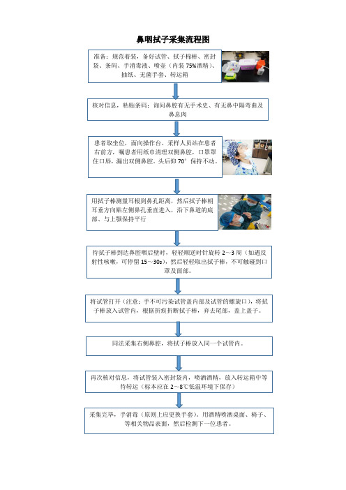 鼻咽拭子采集流程图