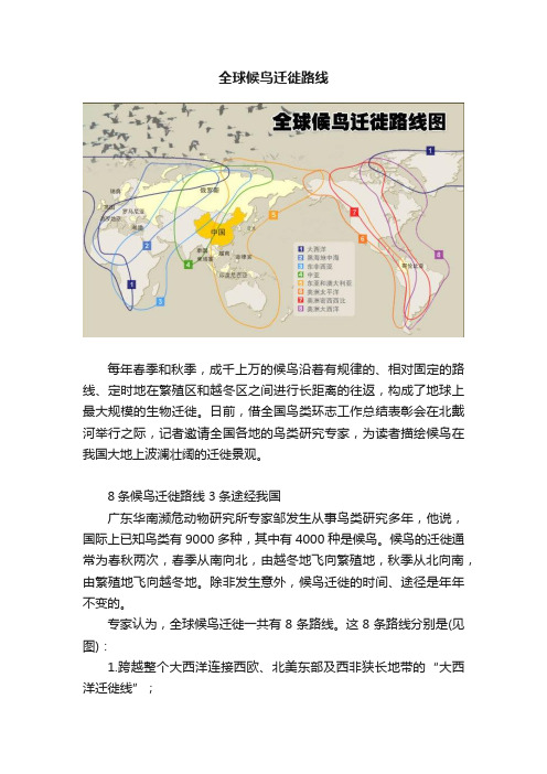 全球候鸟迁徙路线