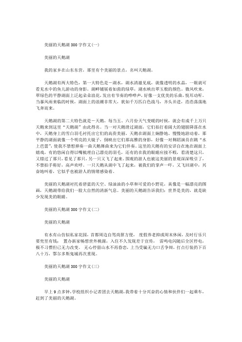 美丽的天鹅湖300字作文