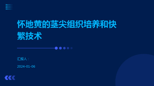 怀地黄的茎尖组织培养和快繁技术