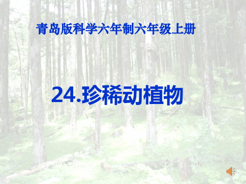 24.珍稀动植物(课件)