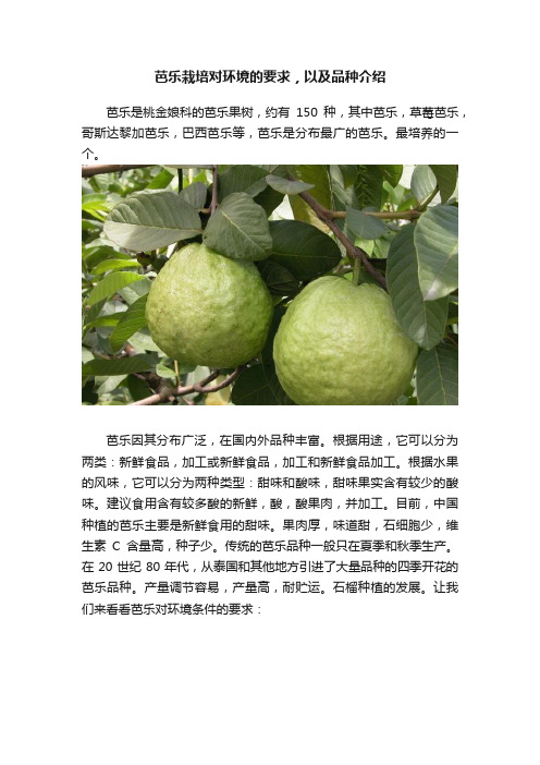 芭乐栽培对环境的要求，以及品种介绍