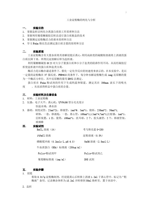 工业淀粉酶的纯化与分析试验报告