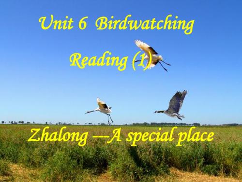 八年级上册(初二上学期,8A) Unit6 Birdwatching reading课件(共27张PPT)