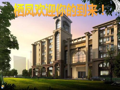 栖凤双语小学2013夏令营语言特长班开营仪式