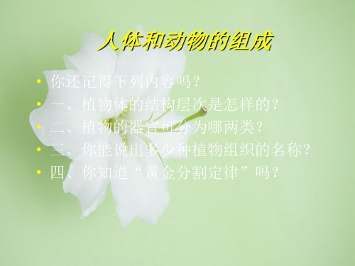 人体和动物的组成PPT教学课件