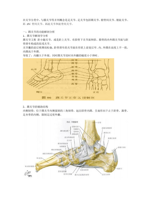 踝关节功能解剖、损伤和恢复