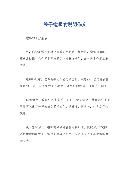 关于螳哪的说明作文