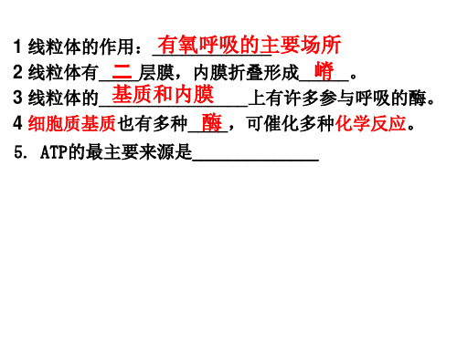 优质课 2018届人教版高三生物一轮复习(必修一)课件 10.ATP的主要来源—— 细胞呼吸