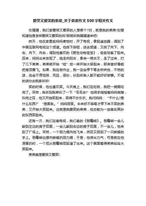 爱哭又爱笑的弟弟_关于弟弟作文500字相关作文