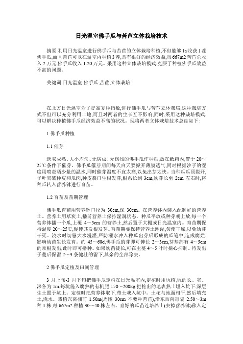 日光温室佛手瓜与苦苣立体栽培技术