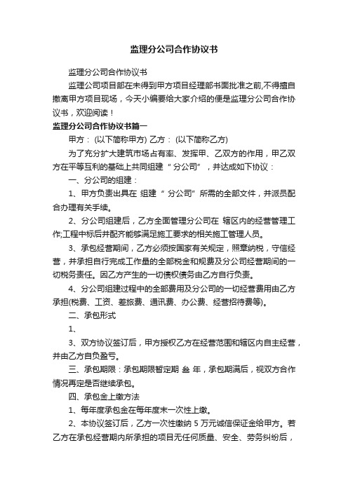 监理分公司合作协议书