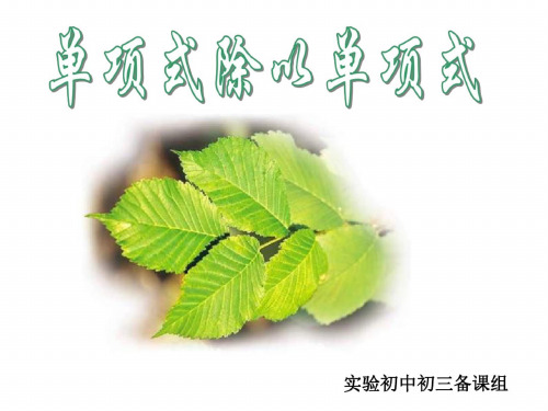 整式的除法(二)--单项式除以单项式[上学期]--华师大版