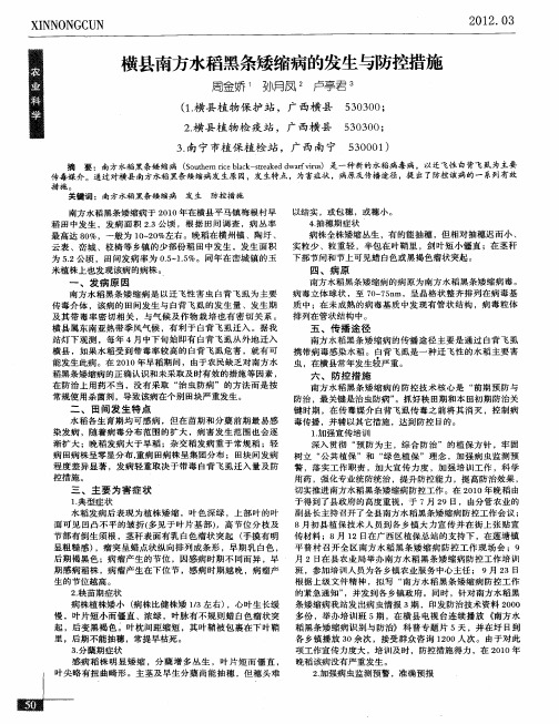 横县南方水稻黑条矮缩病的发生与防控措施