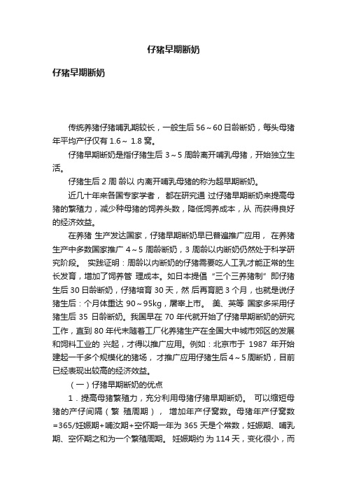 仔猪早期断奶