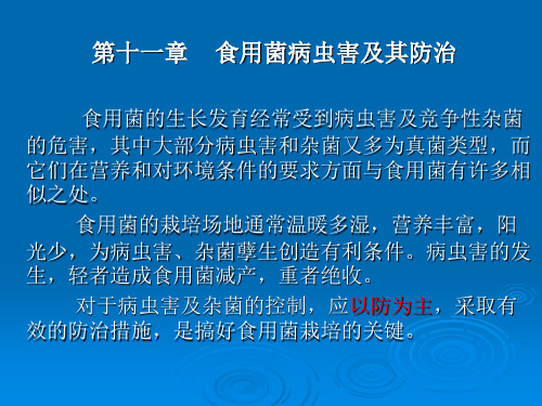 11章 食用菌病虫害及其防治