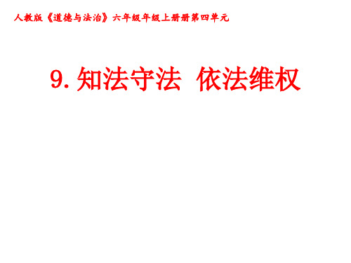 人教部编版2020-2021学年六年级道德与法治上册4.9 知法守法 依法维权课件