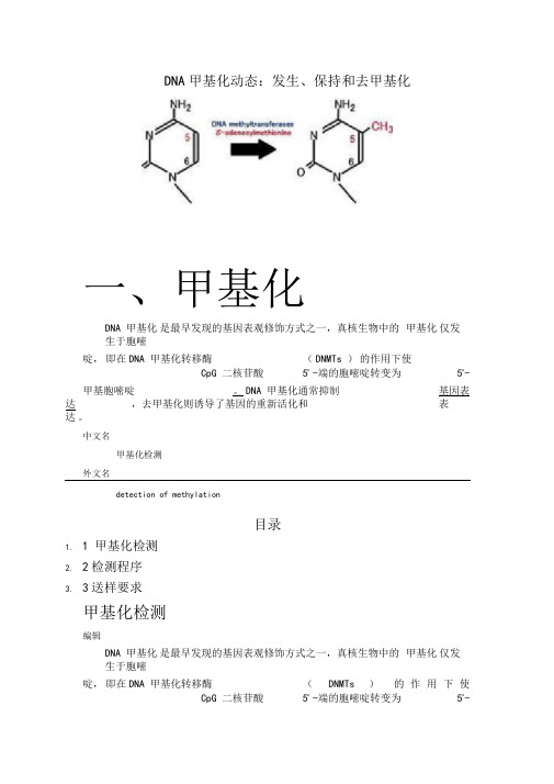 DNA甲基化和去甲基化