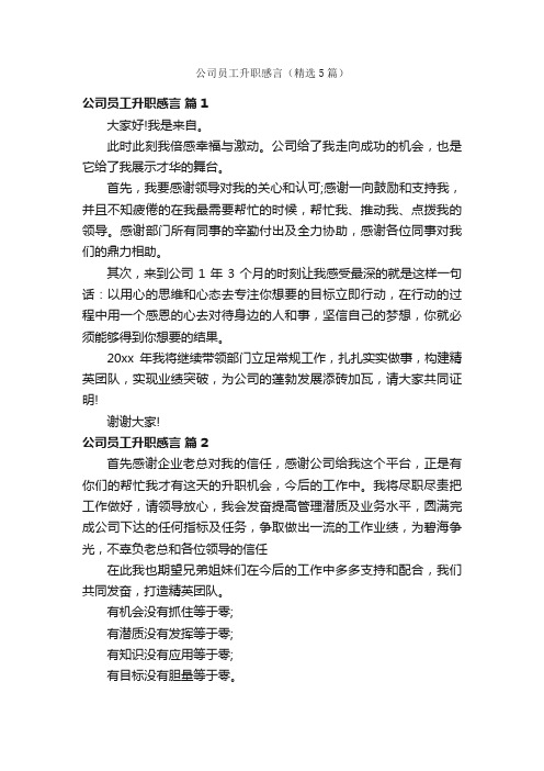 公司员工升职感言（精选5篇）