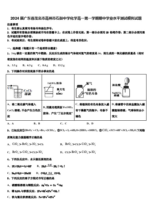 2024届广东省茂名市高州市石鼓中学化学高一第一学期期中学业水平测试模拟试题含解析