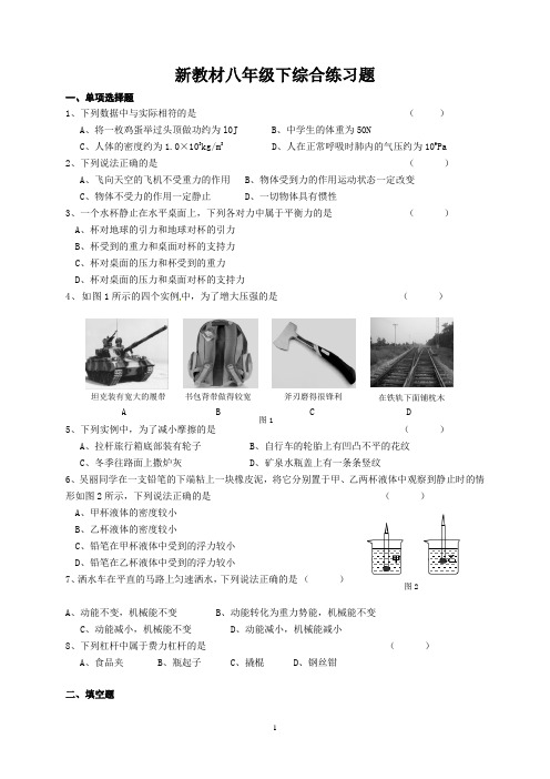 吉林省集安市2012-2013学年人教版八年级下学期期末检测物理试卷