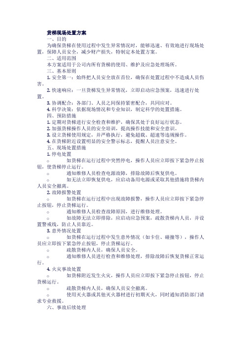 货梯现场处置方案