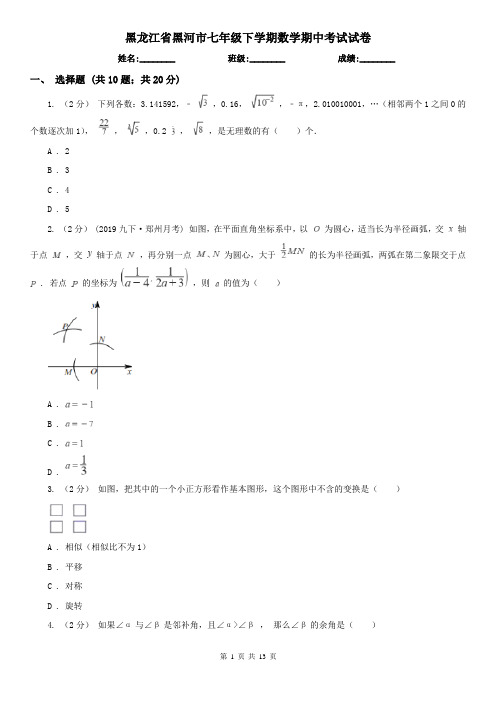 黑龙江省黑河市七年级下学期数学期中考试试卷