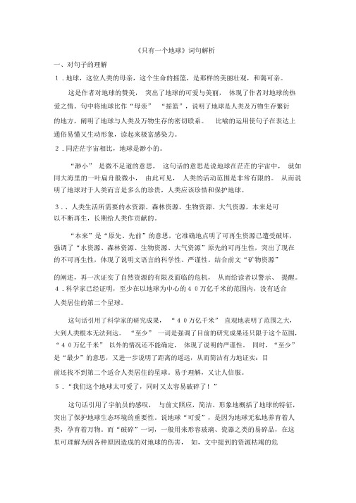 《只有一个地球》词句解析