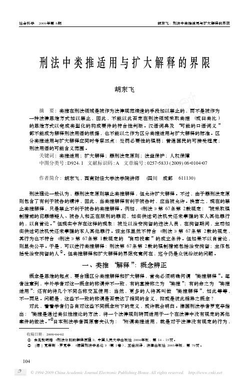 刑法中类推适用与扩大解释的界限