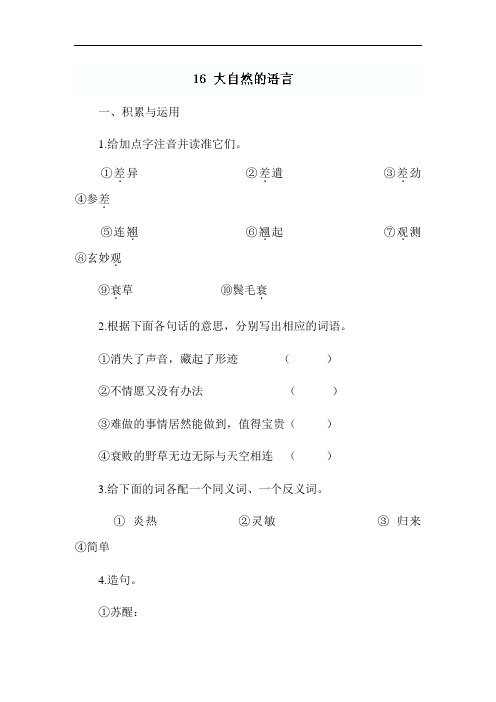 大自然的语言同步练习4