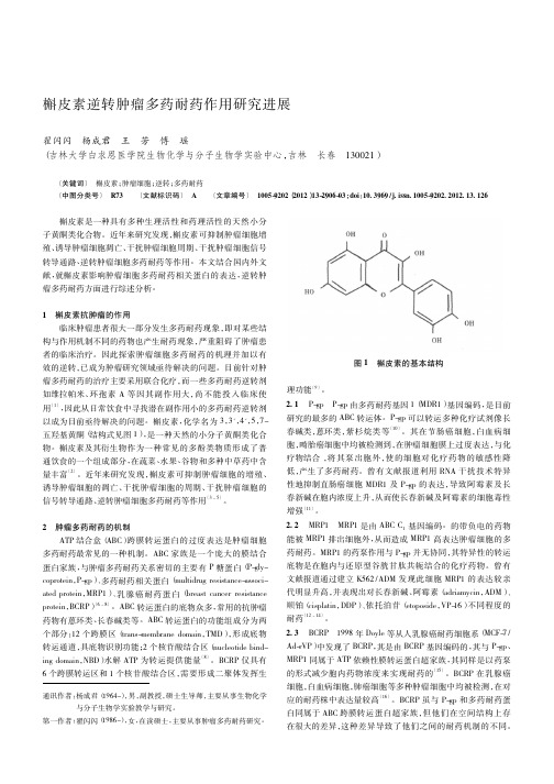 槲皮素逆转肿瘤多药耐药作用进展