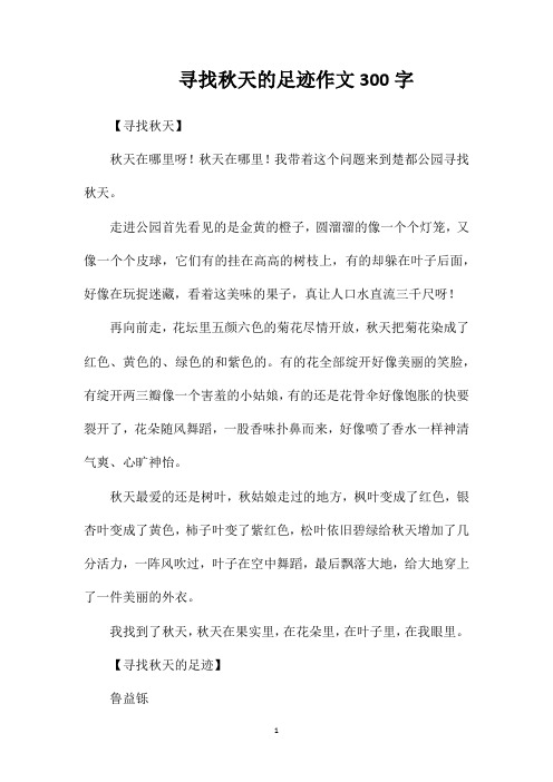 寻找秋天的足迹作文300字