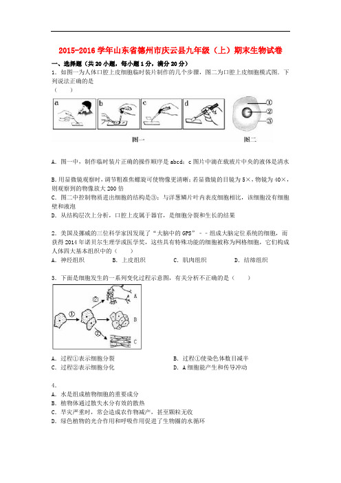 山东省德州市庆云县九年级生物上学期期末试卷(含解析)