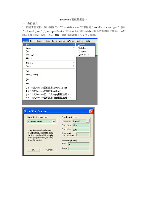 Eviews6.0面板数据操作